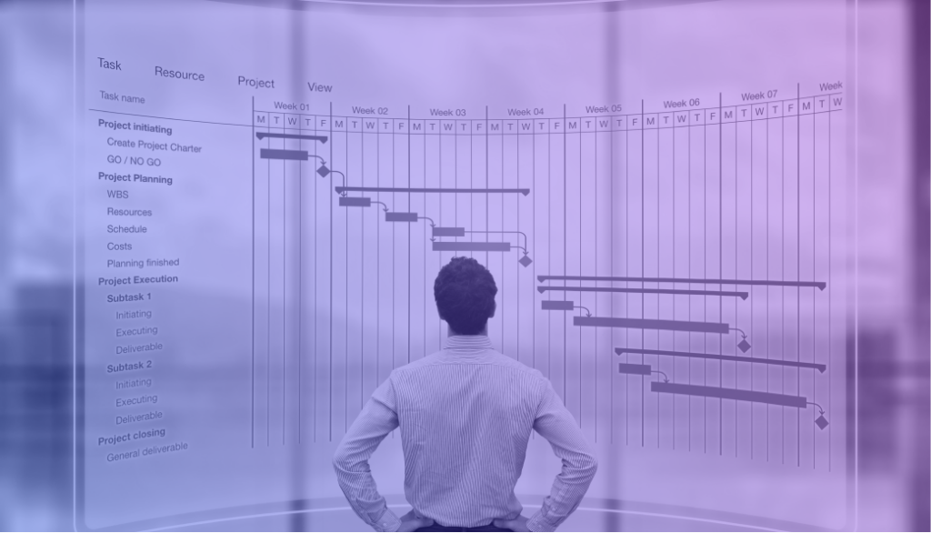 Perfect Project Manager